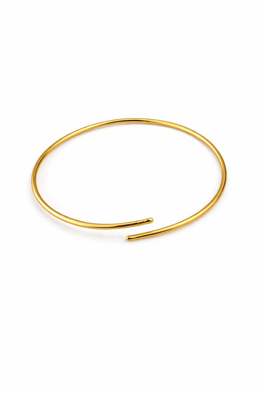 Tara Bangle